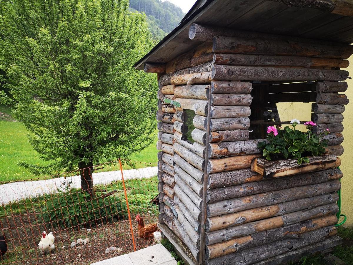 Leitenhof Hintersee Ngoại thất bức ảnh